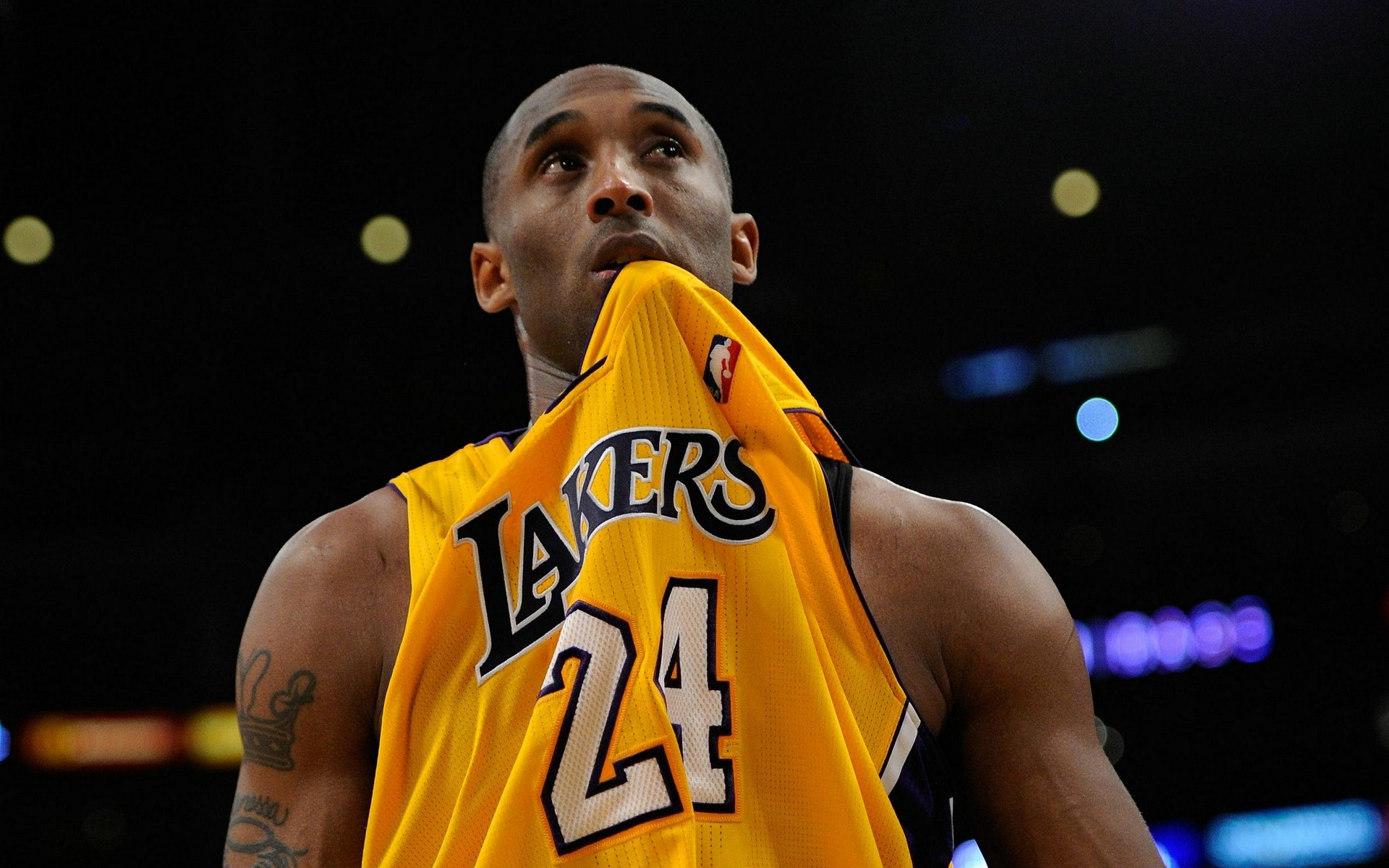 下周开幕 下周开幕