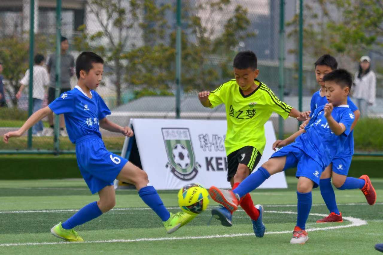 割的伙伴 割的伙伴